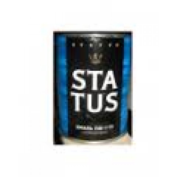 "STATUS" Бирюзовая ПФ-115 1,9кг